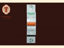 ВА63 1P 32A C Schneider-Electric Домовой